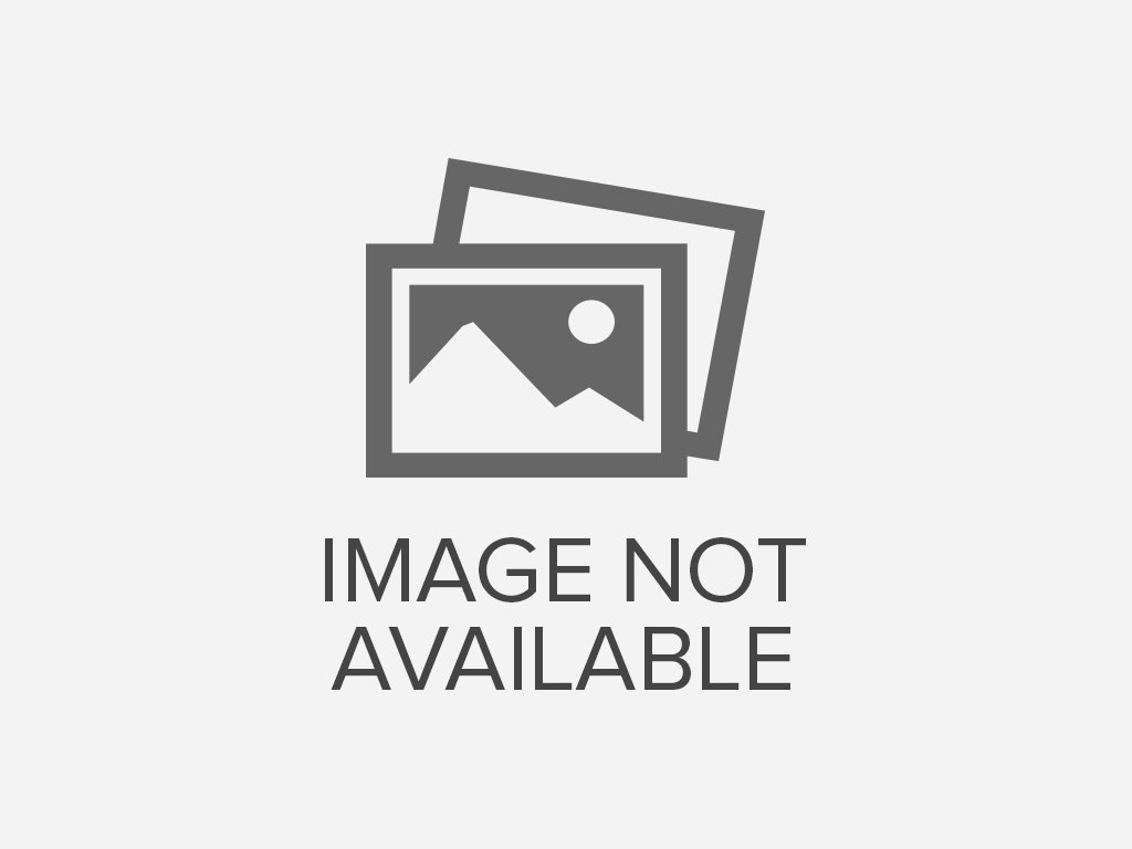 BARBEKÜ SOSLU TAVUK